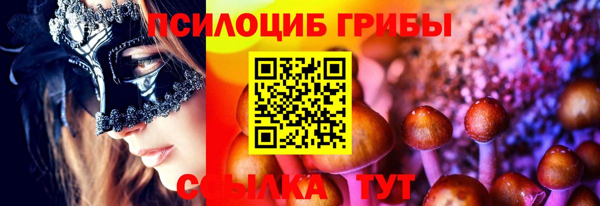 Псилоцибиновые грибы GOLDEN TEACHER Новомосковск